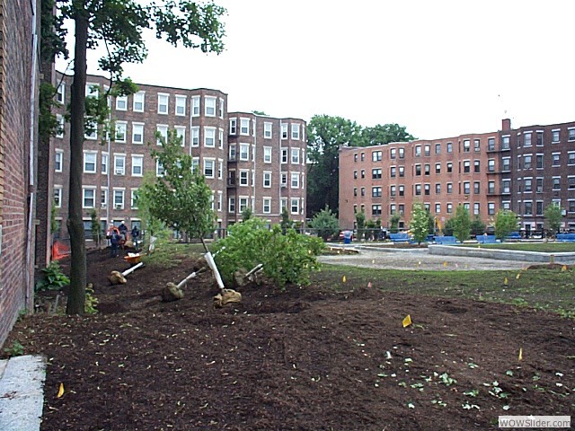 Phase II 2003